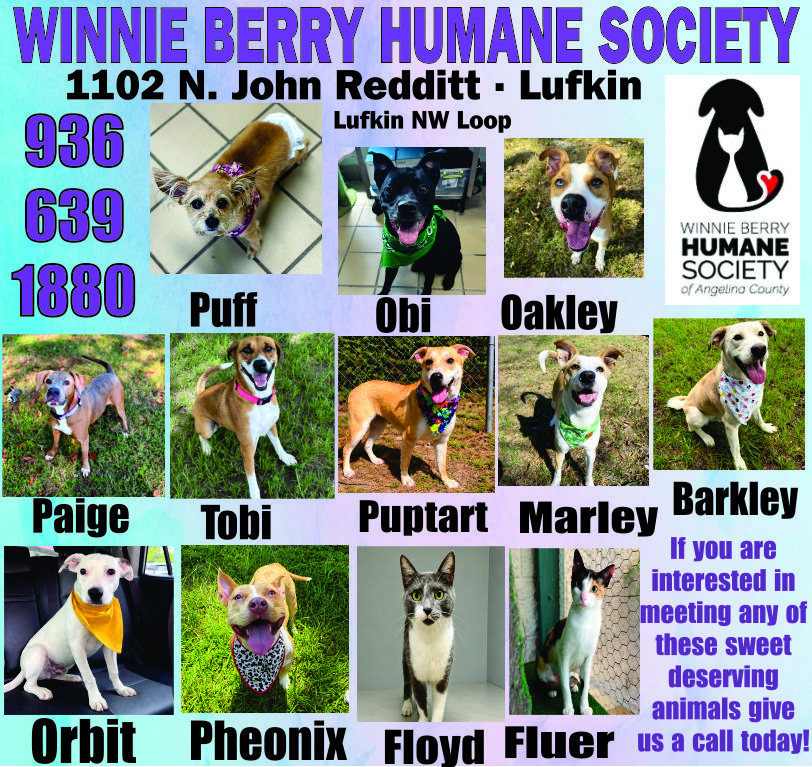 Pet of The Week Ad